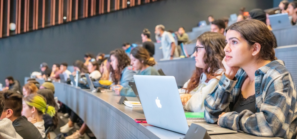 students listening to a lecture on their laptops in a classroom